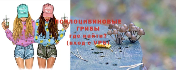 спиды Богородицк
