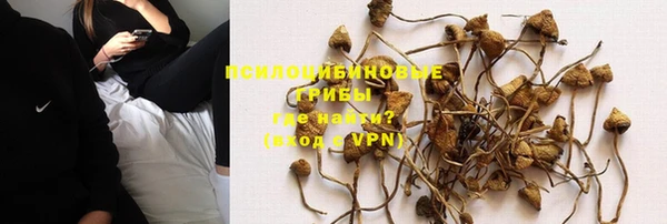 молекула духа Бугульма