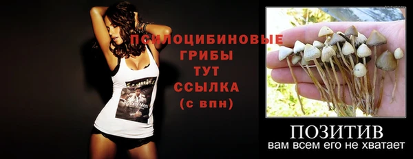 молекула духа Бугульма