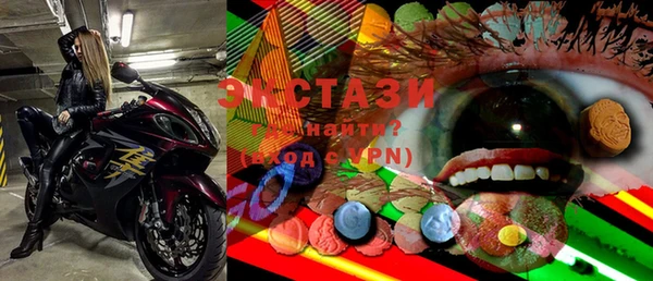 спиды Богородицк
