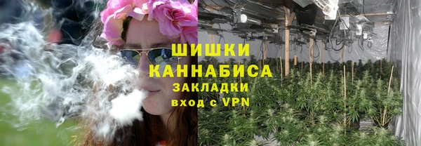 спиды Богородицк