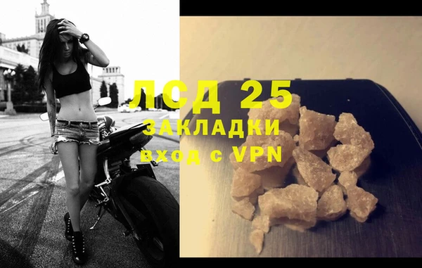 стафф Бородино