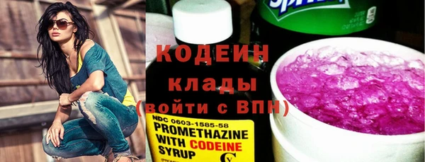 стафф Бородино