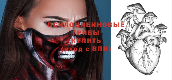 spice Бронницы