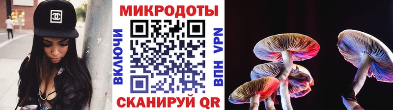 Галлюциногенные грибы мухоморы  купить наркотики сайты  Межгорье 