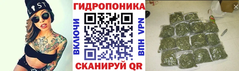 МАРИХУАНА семена  Межгорье 